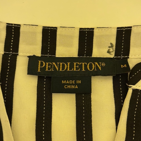 Pendleton Dress - Picture 4 of 4